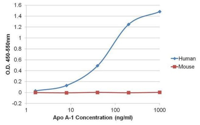 Mouse IgG (H+L) Cross-Adsorbed Secondary Antibody in ELISA (ELISA)