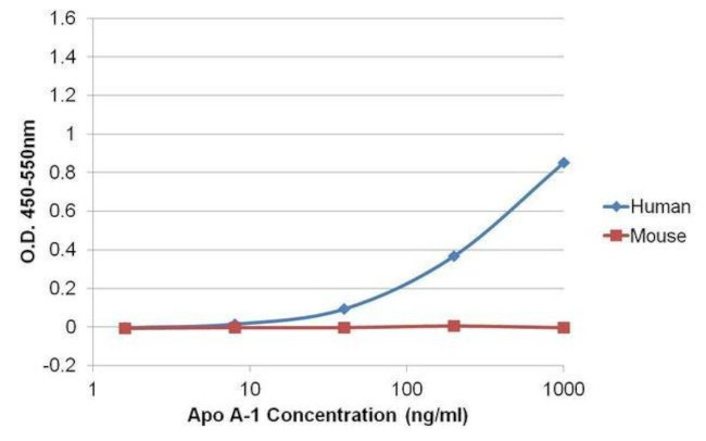 Mouse IgG (H+L) Cross-Adsorbed Secondary Antibody in ELISA (ELISA)