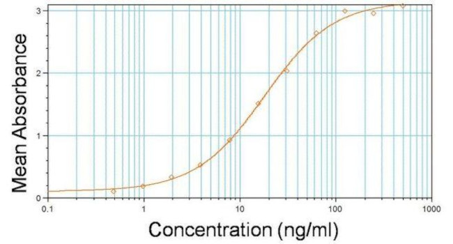 Rat IgG (H+L) Secondary Antibody in ELISA (ELISA)