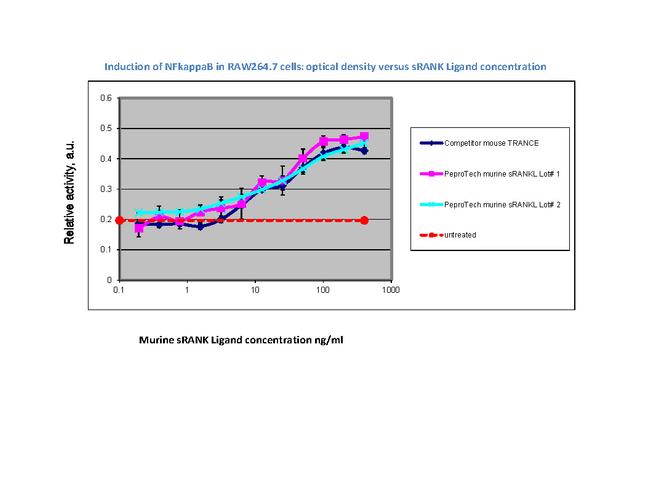 Mouse TRANCE (RANKL) (soluble) Protein in Functional Assay (FN)