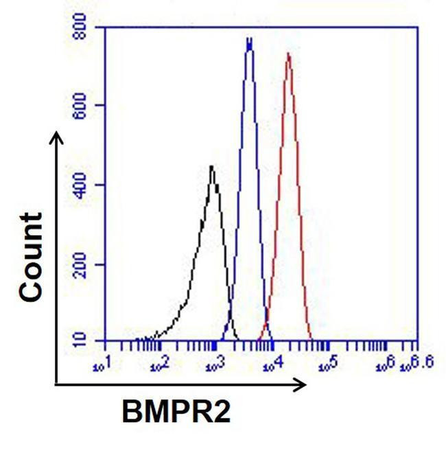 Mouse IgG Isotype Control in Flow Cytometry (Flow)