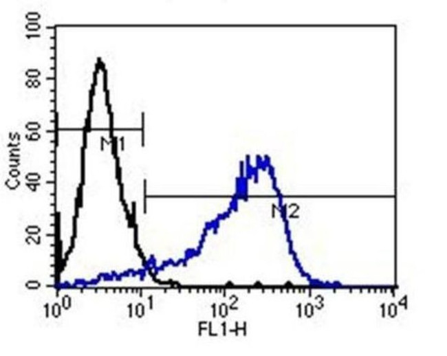 Mouse IgM Secondary Antibody in Flow Cytometry (Flow)