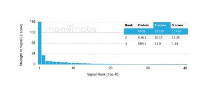 Apolipoprotein B/APOB Antibody in Peptide array (ARRAY)