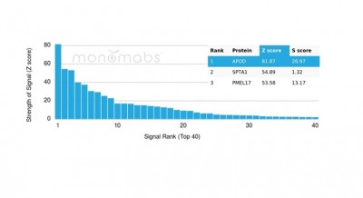 Apolipoprotein D/APO-D Antibody in Peptide array (ARRAY)