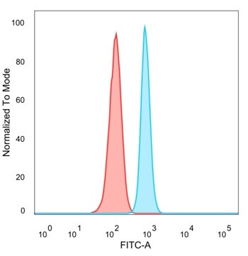ZNF81/Zinc finger protein 81 (Transcription Factor) Antibody in Flow Cytometry (Flow)