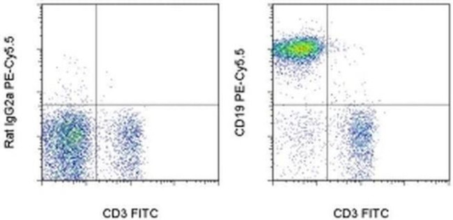 CD19 Antibody in Flow Cytometry (Flow)