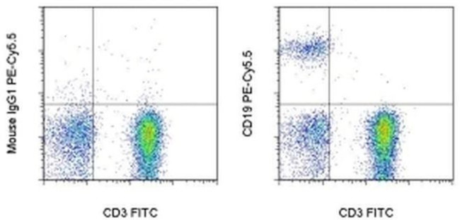 CD19 Antibody in Flow Cytometry (Flow)