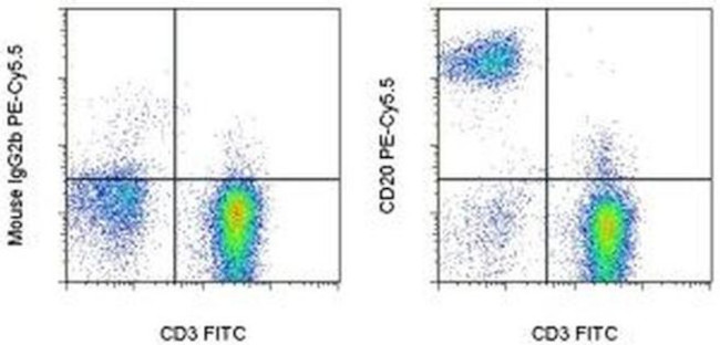 CD20 Antibody in Flow Cytometry (Flow)