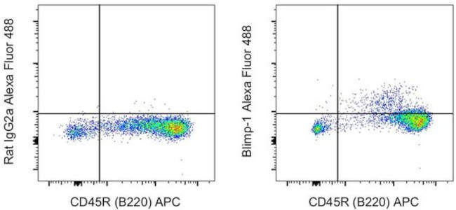 Blimp-1 Antibody in Flow Cytometry (Flow)