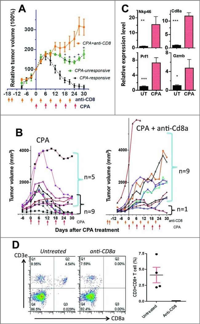 CD3e Antibody in Flow Cytometry (Flow)