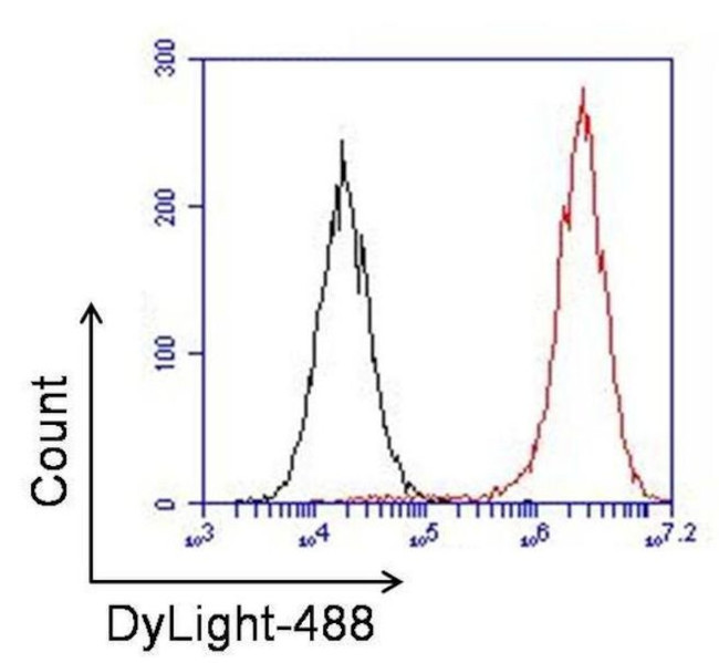 Rabbit IgG (H+L) Secondary Antibody in Flow Cytometry (Flow)