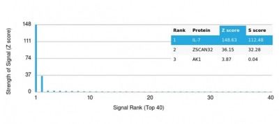 Interleukin-7 (IL-7) Antibody in Peptide array (ARRAY)