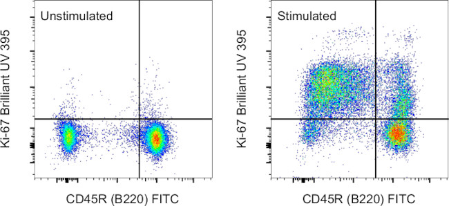 Ki-67 Antibody in Flow Cytometry (Flow)