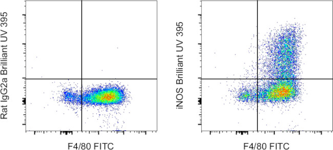 iNOS Antibody in Flow Cytometry (Flow)