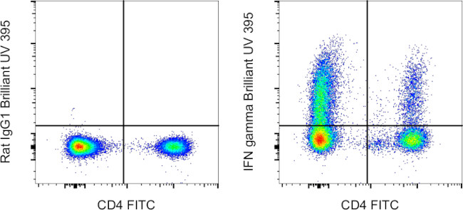 IFN gamma Antibody in Flow Cytometry (Flow)