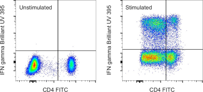 IFN gamma Antibody in Flow Cytometry (Flow)