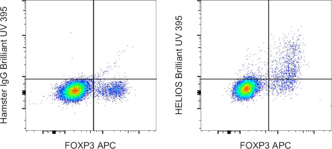 HELIOS Antibody in Flow Cytometry (Flow)