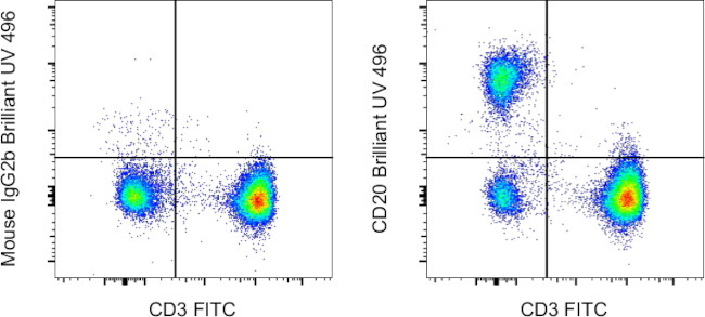 CD20 Antibody in Flow Cytometry (Flow)