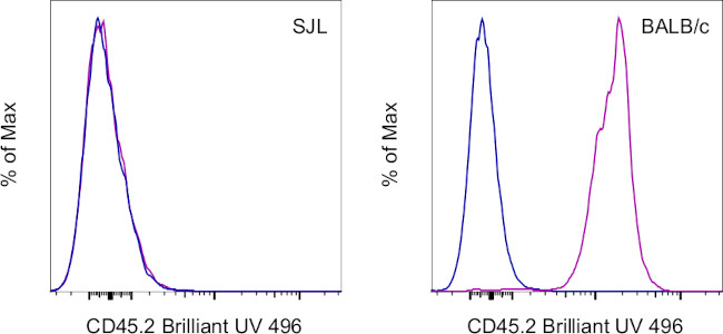 CD45.2 Antibody in Flow Cytometry (Flow)