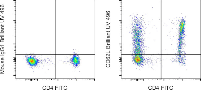 CD62L (L-Selectin) Antibody in Flow Cytometry (Flow)