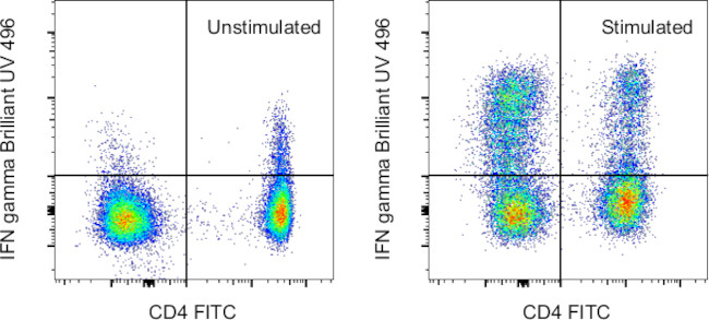 IFN gamma Antibody in Flow Cytometry (Flow)