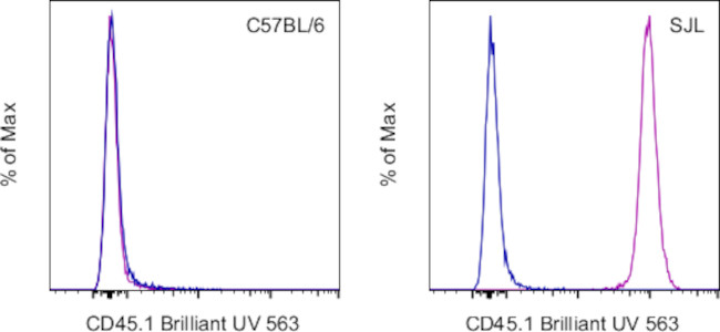 CD45.1 Antibody in Flow Cytometry (Flow)