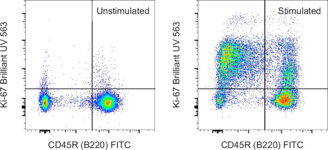 Ki-67 Antibody in Flow Cytometry (Flow)