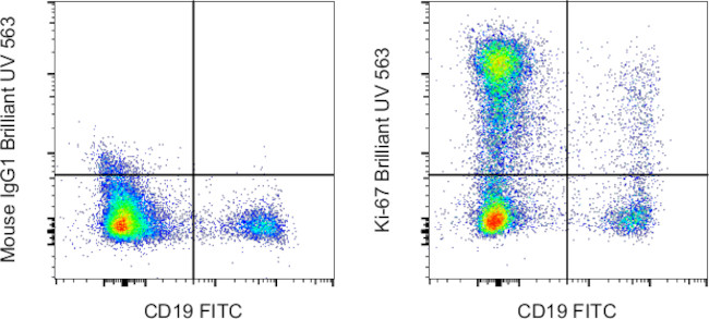 Ki-67 Antibody in Flow Cytometry (Flow)