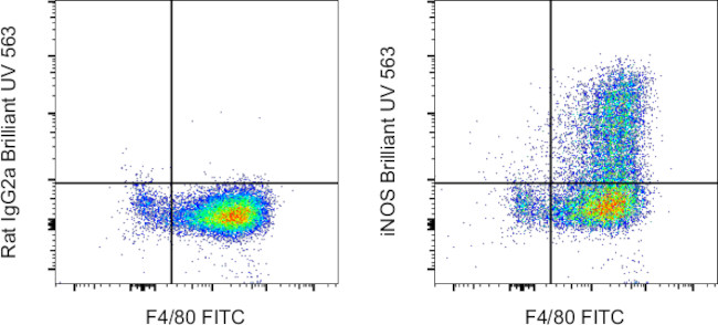 iNOS Antibody in Flow Cytometry (Flow)