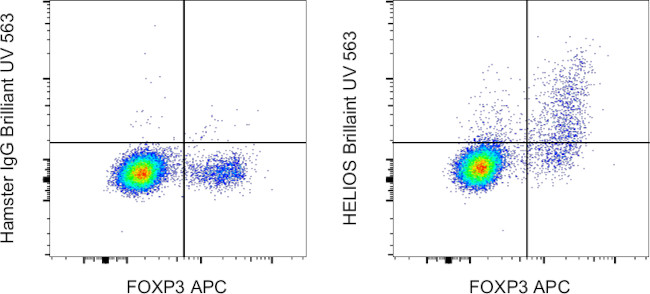 HELIOS Antibody in Flow Cytometry (Flow)