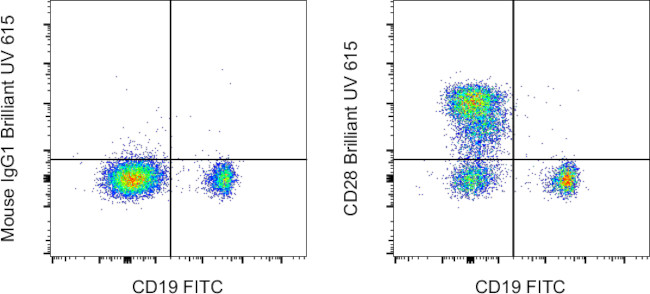 CD28 Antibody in Flow Cytometry (Flow)