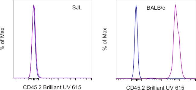 CD45.2 Antibody in Flow Cytometry (Flow)