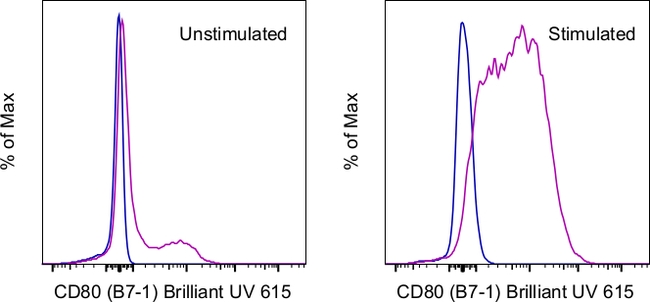 CD80 (B7-1) Antibody in Flow Cytometry (Flow)