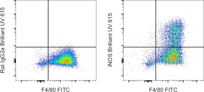 iNOS Antibody in Flow Cytometry (Flow)