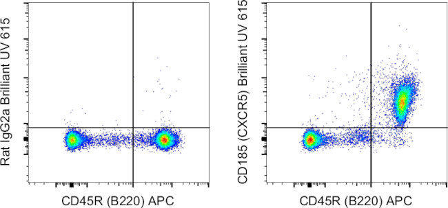 CD185 (CXCR5) Antibody in Flow Cytometry (Flow)