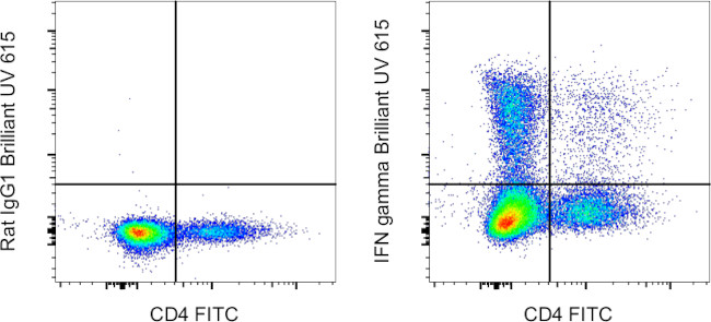 IFN gamma Antibody in Flow Cytometry (Flow)