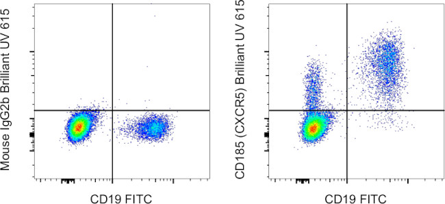 CD185 (CXCR5) Antibody in Flow Cytometry (Flow)