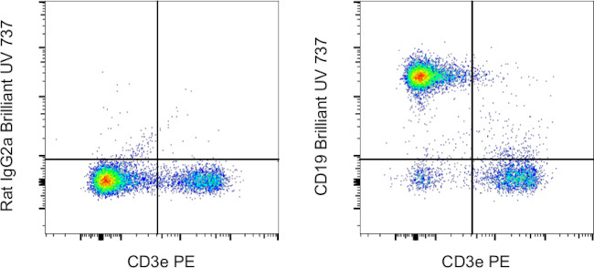 CD19 Antibody in Flow Cytometry (Flow)