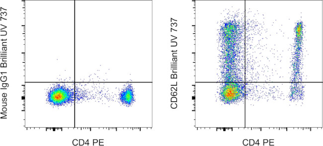 CD62L (L-Selectin) Antibody in Flow Cytometry (Flow)