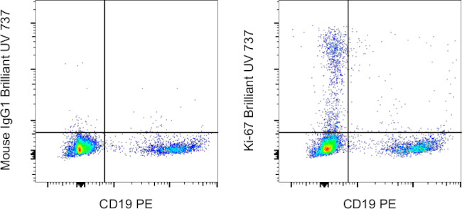 Ki-67 Antibody in Flow Cytometry (Flow)