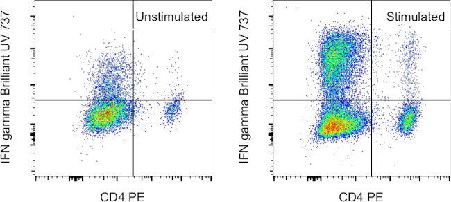 IFN gamma Antibody in Flow Cytometry (Flow)