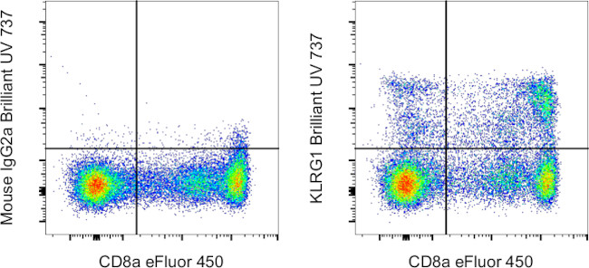 KLRG1 Antibody in Flow Cytometry (Flow)