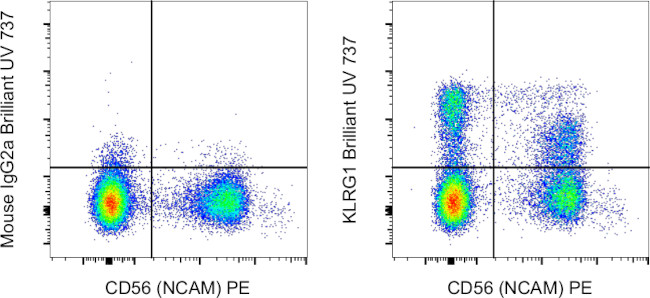 KLRG1 Antibody in Flow Cytometry (Flow)