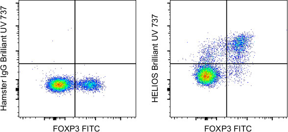 HELIOS Antibody in Flow Cytometry (Flow)