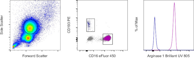 Arginase 1 Antibody in Flow Cytometry (Flow)