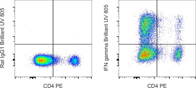 IFN gamma Antibody in Flow Cytometry (Flow)