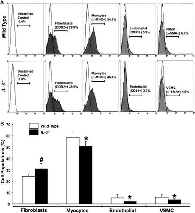 CD31 Antibody in Flow Cytometry (Flow)