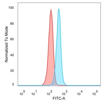 JunB/Transcription Factor JunB Antibody in Flow Cytometry (Flow)