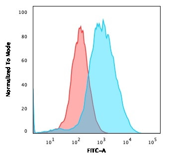 Catenin, gamma (Cardiomyocyte Marker) Antibody in Flow Cytometry (Flow)