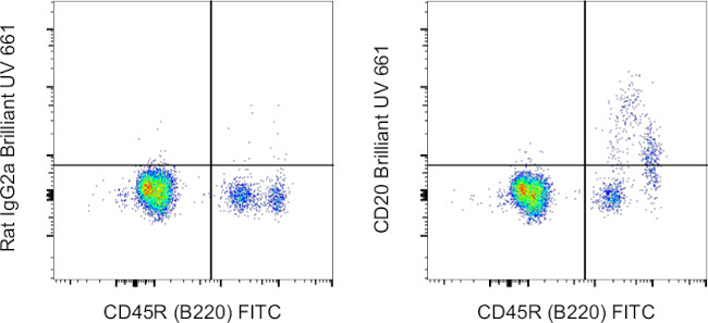 CD20 Antibody in Flow Cytometry (Flow)